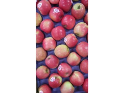 Æbler Pink lady 11 kg kasse 84 stk