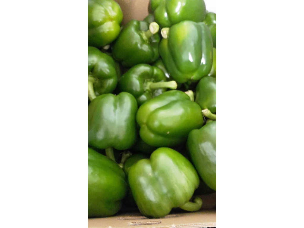 Peber grøn kasse