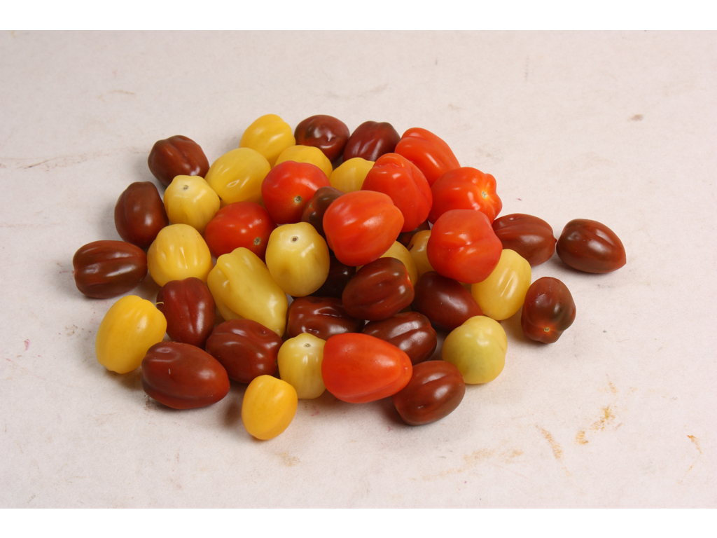 Tomater cherry mix kg. DANSKE