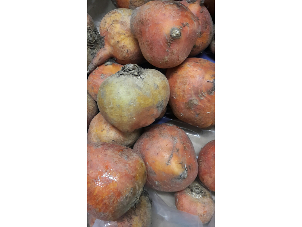 Beder gule Øko 5 kg. kasse