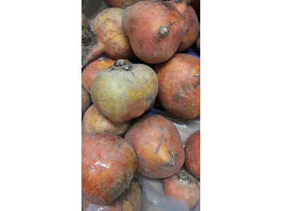 Beder gule Øko 5 kg. kasse