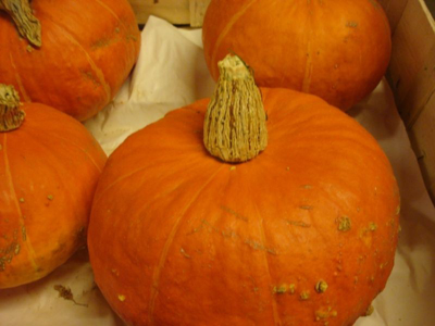 Hokaido græskar stk. ca. 1 kg.