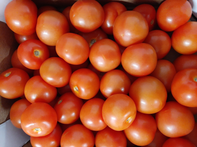 Tomater alm. kg.