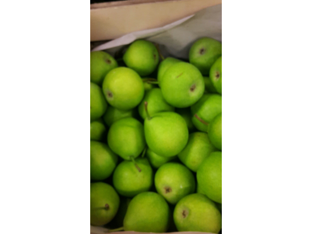 Pærer Clara Friis Danske ks a. 12 kg 60+ store 