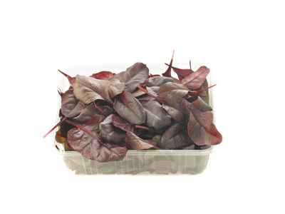 Salat Bulls Blood 1 kg