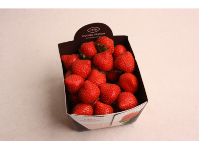 Jordbær udl. 8*500 gr kasse
