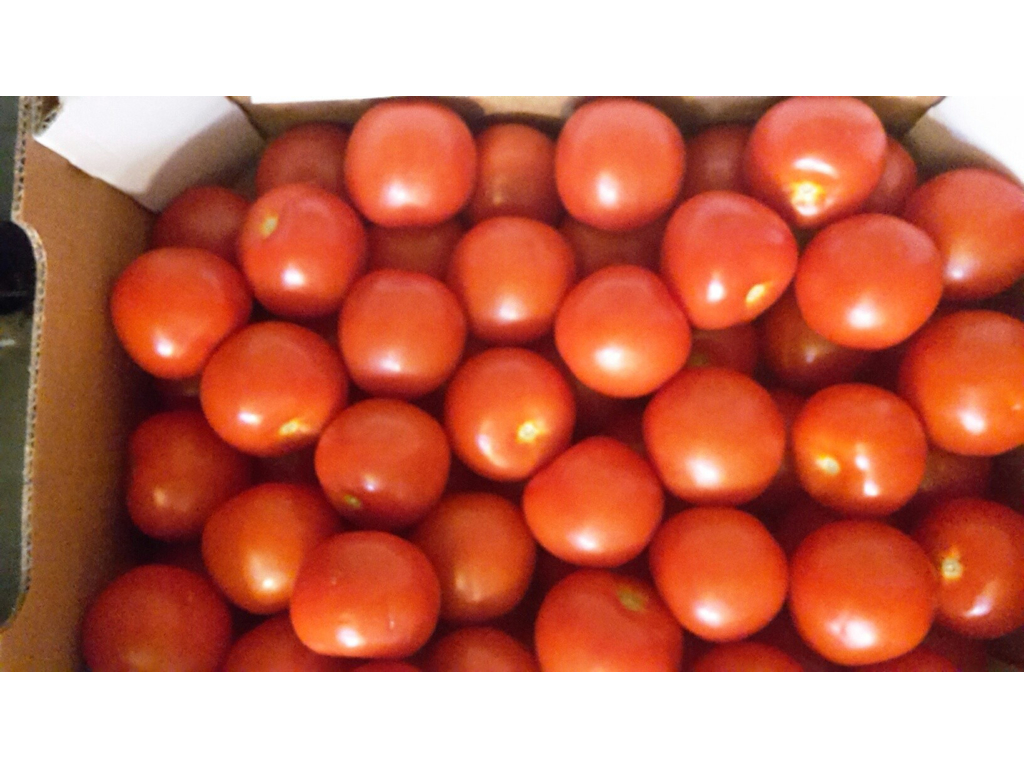 Tomater alm. kasse 6 kg.