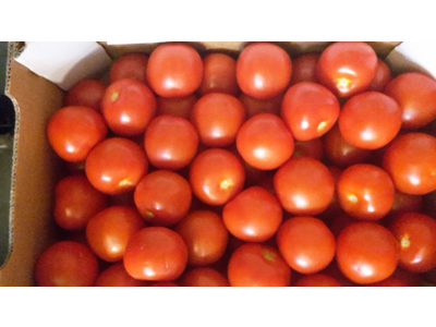 Tomater alm. kasse 6 kg.