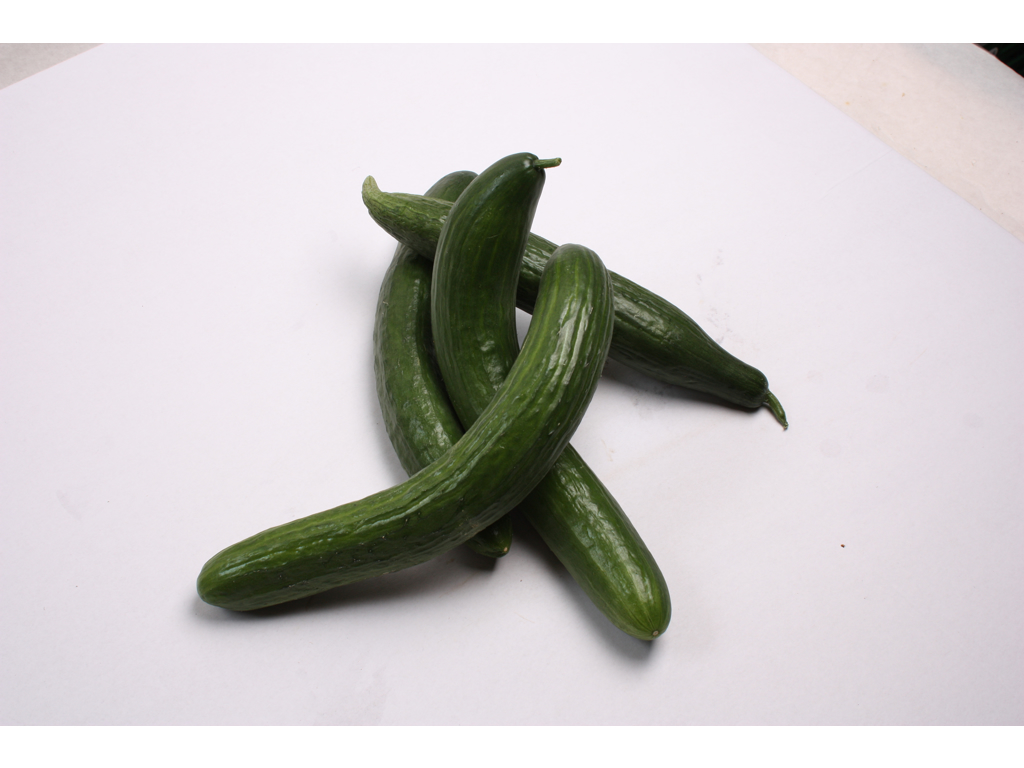 Agurker krumme ks ca. 10 kg.