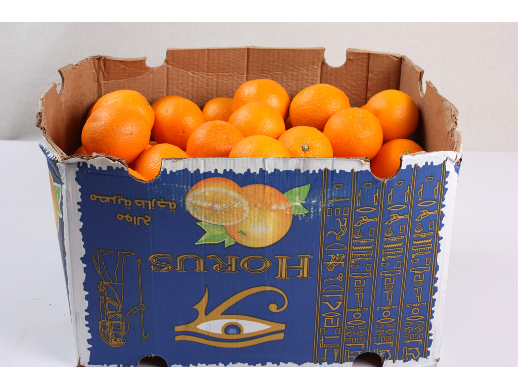 Appelsiner presse Syd afrika 15 kg ks. ca. 100 stk.