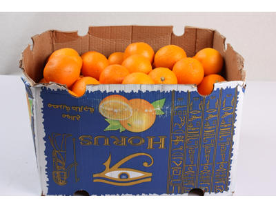 Appelsiner presse Syd afrika 15 kg ks. ca. 100 stk.