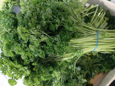 Persille krus i bdt. ca. 500 gr.