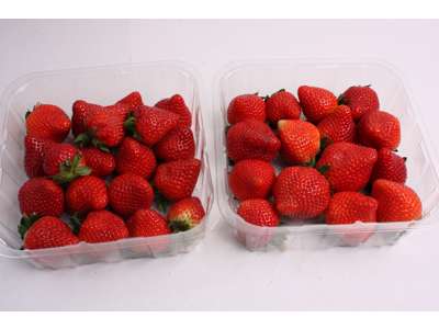 Jordbær 12*400 gr.