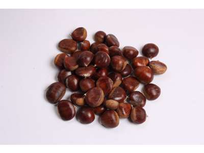 Kastanjer 5 kg