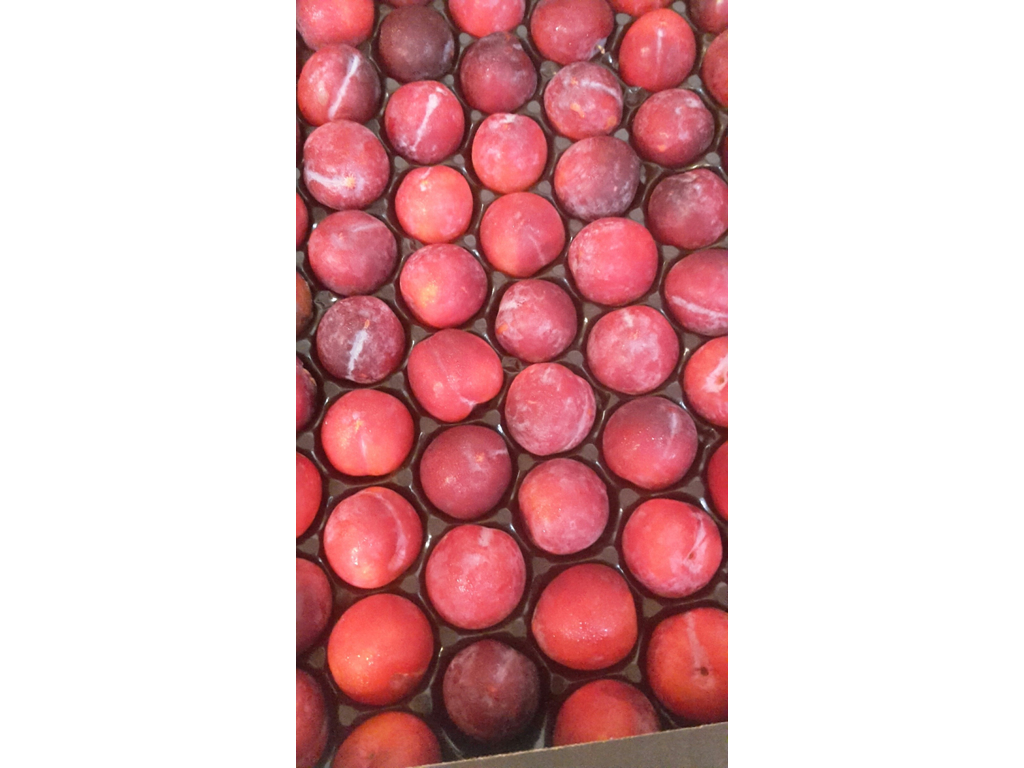 Blommer ks. 5 kg.  ca. 66 stk.