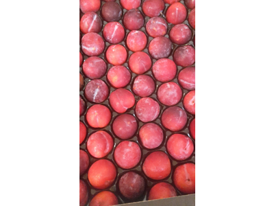 Blommer ks. 5 kg.  ca. 66 stk.