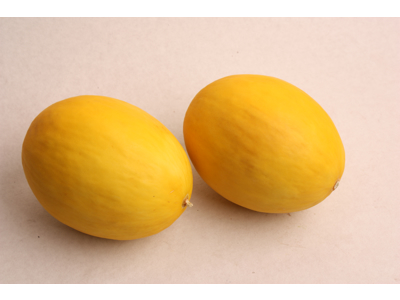 Melon Honning 9-12 stk. kasse 10 kg. Spanske