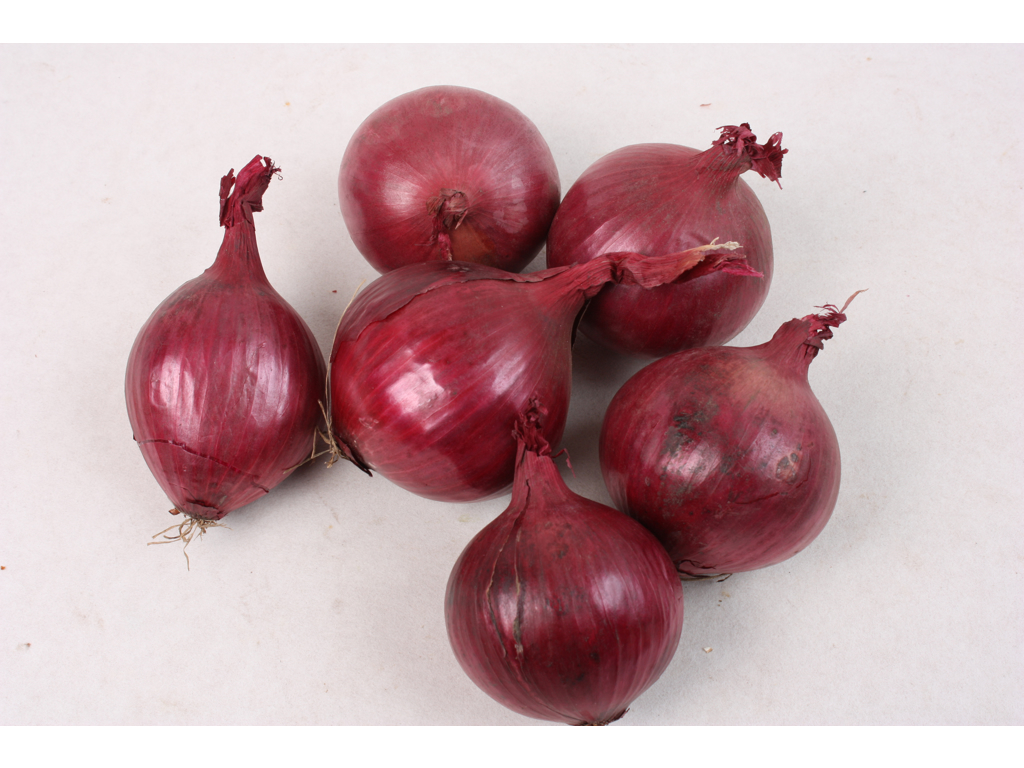 Løg røde 1 kg. 