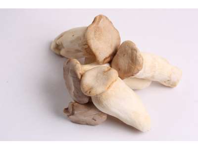 Kejserhatte 2*2 kg ks