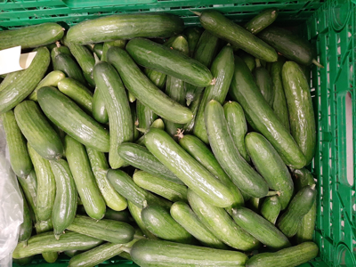 Agurk skole kasse ca. 32 stk. 4 kg.
