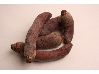 Rødbeder lange 5 kg. Danske Ny høst