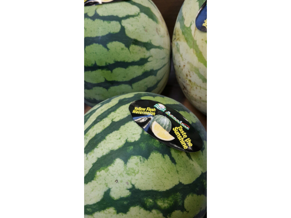 Melon vand 6 stk kasse ca. 18 kg. Brasilien