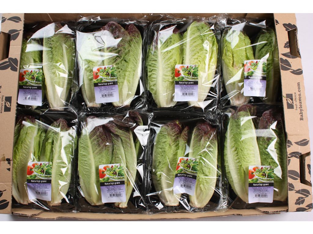 Salat Hjerte røde flow pak ks. 8*2 stk.