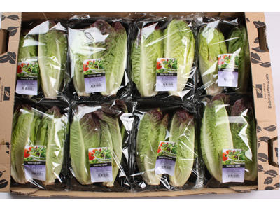 Salat Hjerte røde flow pak ks. 8*2 stk.