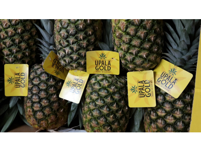 Ananas kæmpe Kasse 6 stk.
