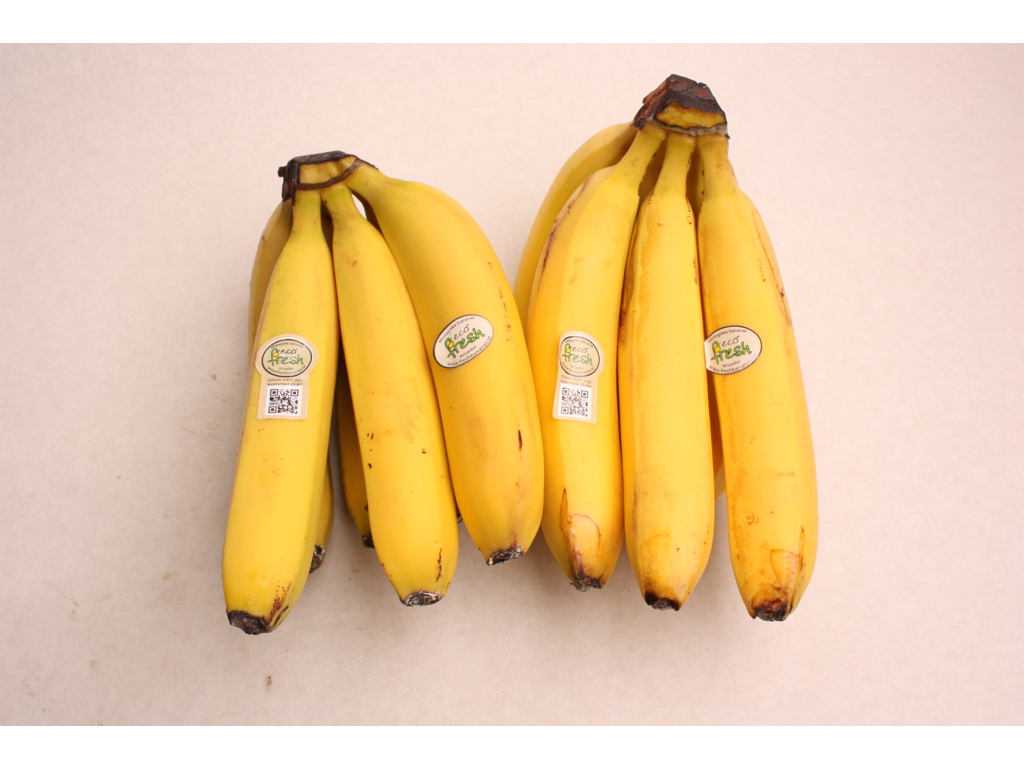 Bananer øko. kg