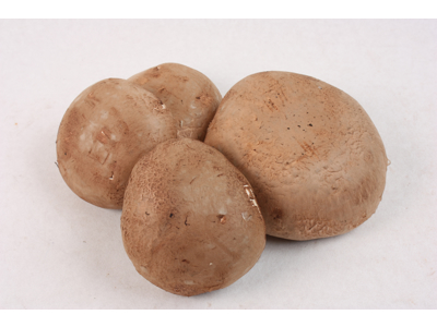 Porto Bello svampe kasse ca. 1,5 kg