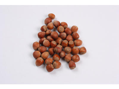 Hasselnødder m skal kg.