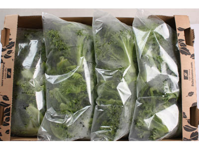 Frilice salat vasket 4*500 gr